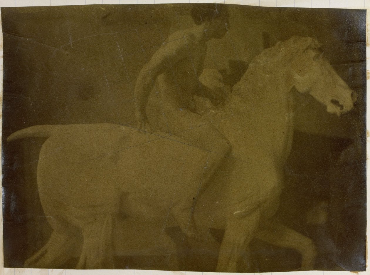 Studie modelu mužského aktu, sedícího na sádrovém koni, v ateliéru Jacquese de Lalaing, možná přípravná studie pro Jezdecký portrét, Museum of Fine Arts Gent od Jacques Lalaing (attributed to)