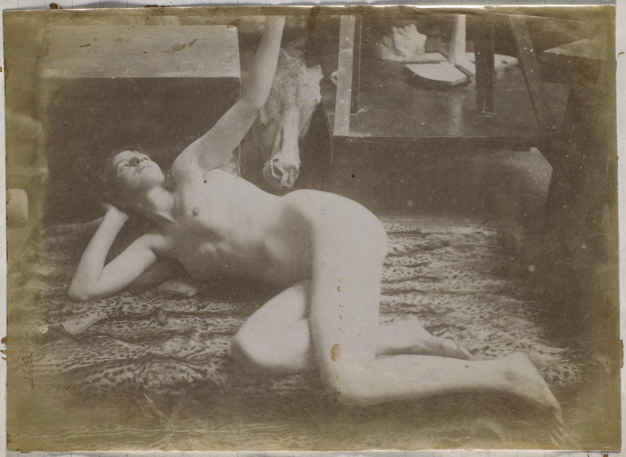 Studie nahé modelky ležící na tygří kůži v ateliéru Jacquese de Lalainga od Jacques Lalaing (attributed to)
