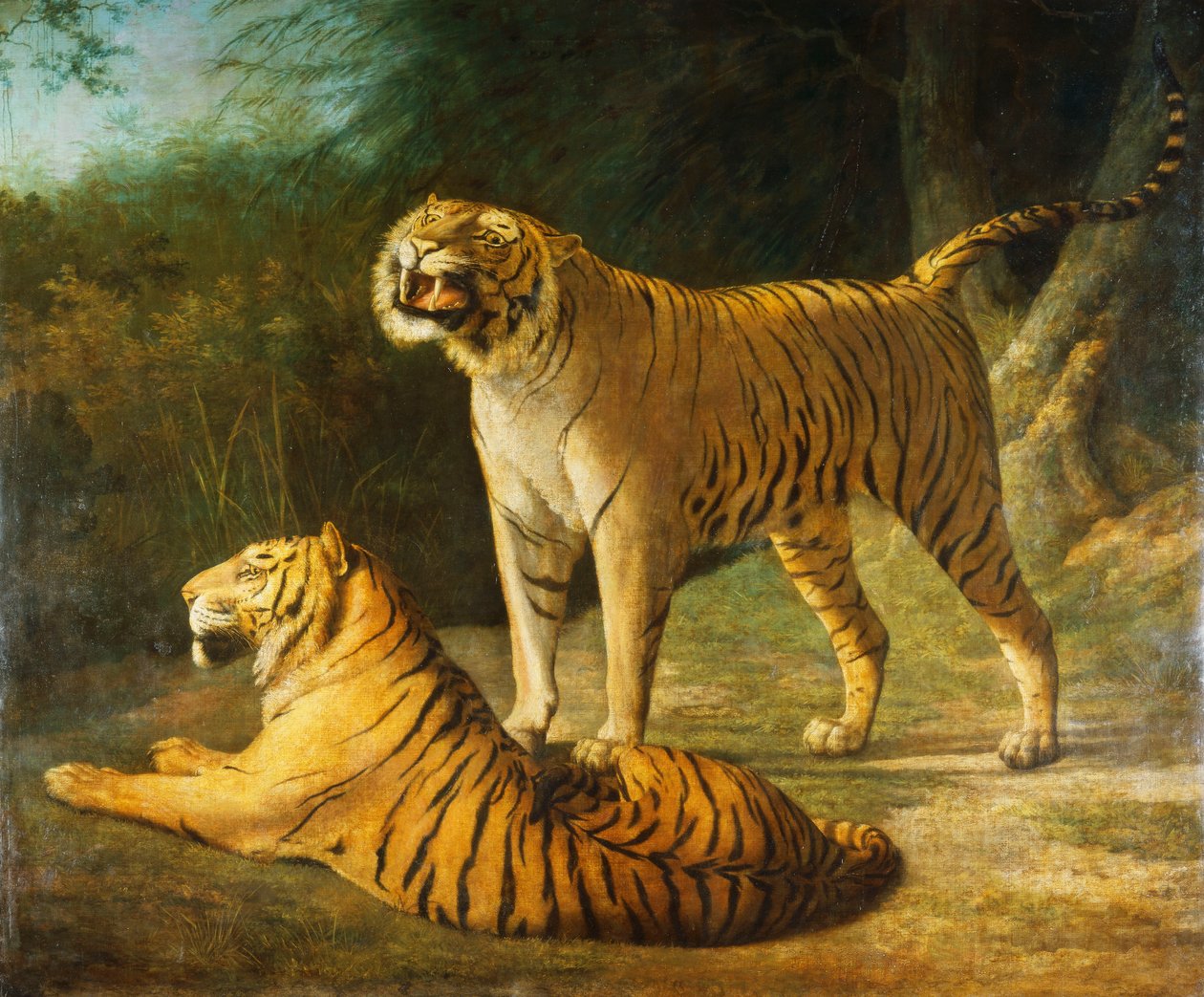 Tygr a tygřice v Exeteru „Change Menagerie in 1808, 1808 od Jacques Laurent Agasse