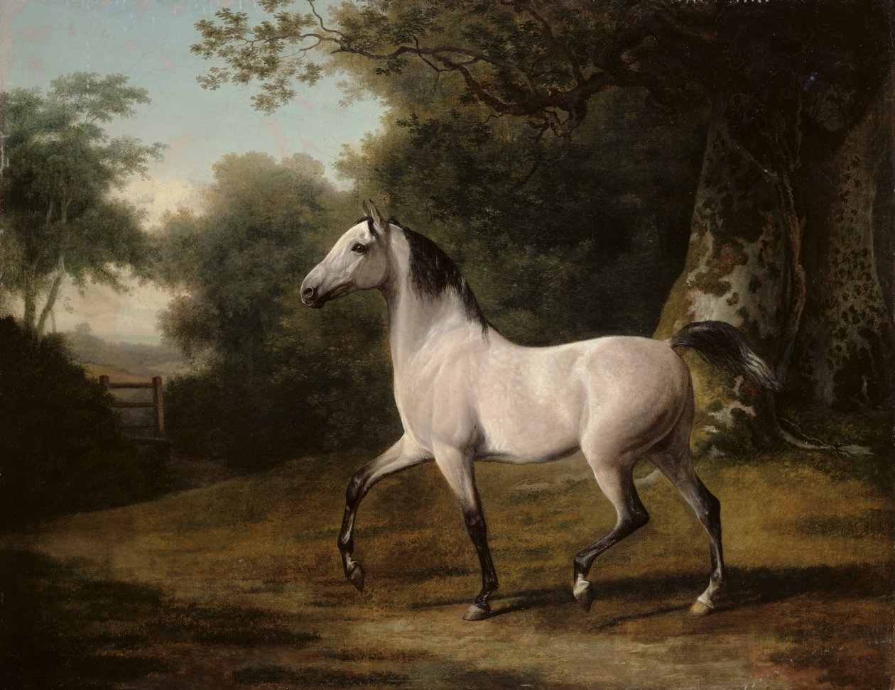 Šedý arabský hřebec v zalesněné krajině od Jacques Laurent Agasse