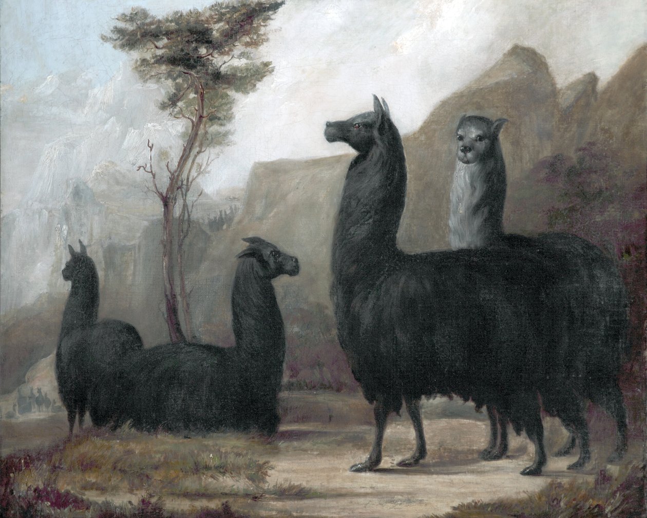 Alpaky od Jacques Laurent Agasse