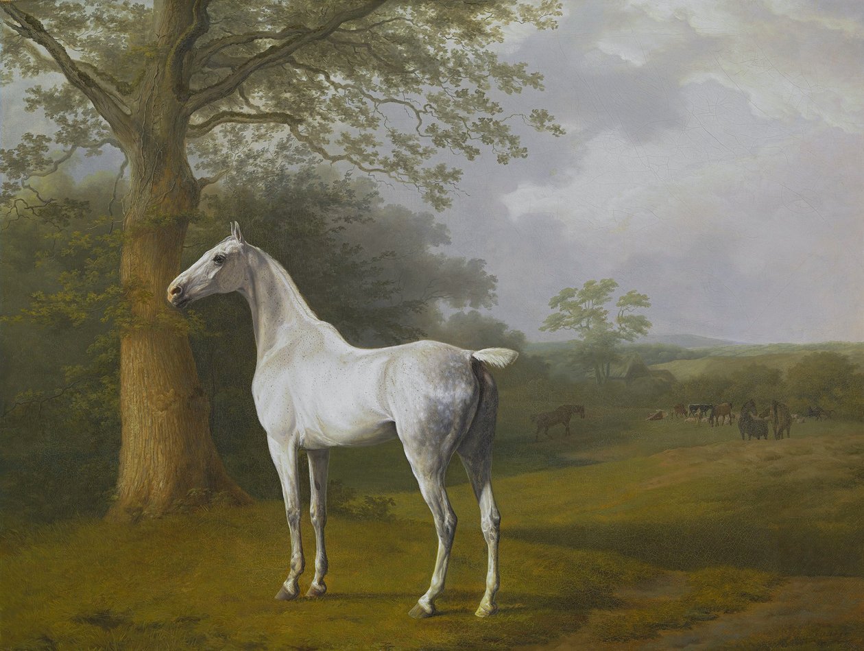 Šedý kůň na pastvině od Jacques Laurent Agasse