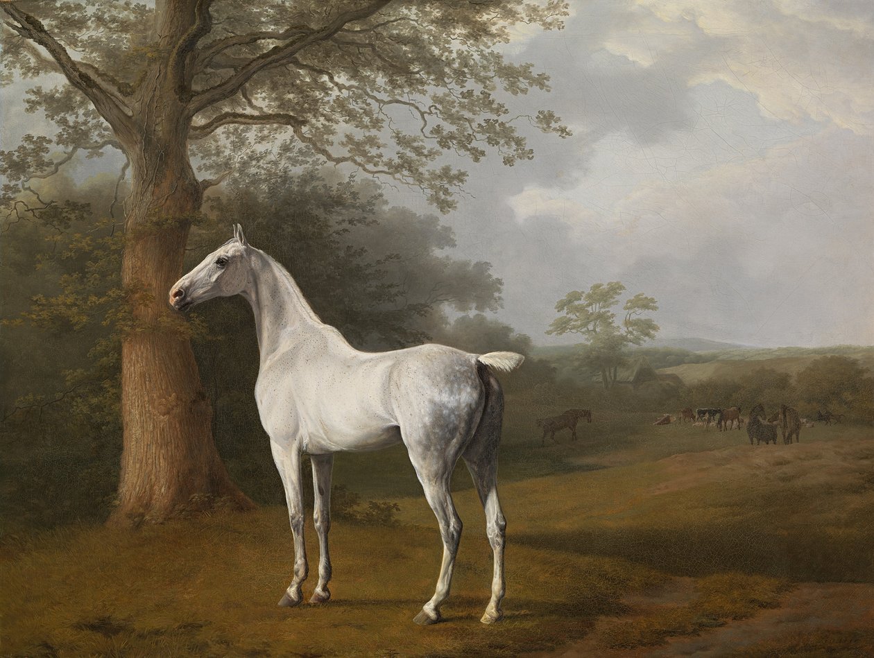 Šedý kůň na louce od Jacques Laurent Agasse