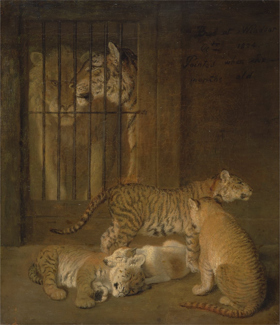 Skupina Whelps chovaných mezi lvem a tygřicí od Jacques Laurent Agasse