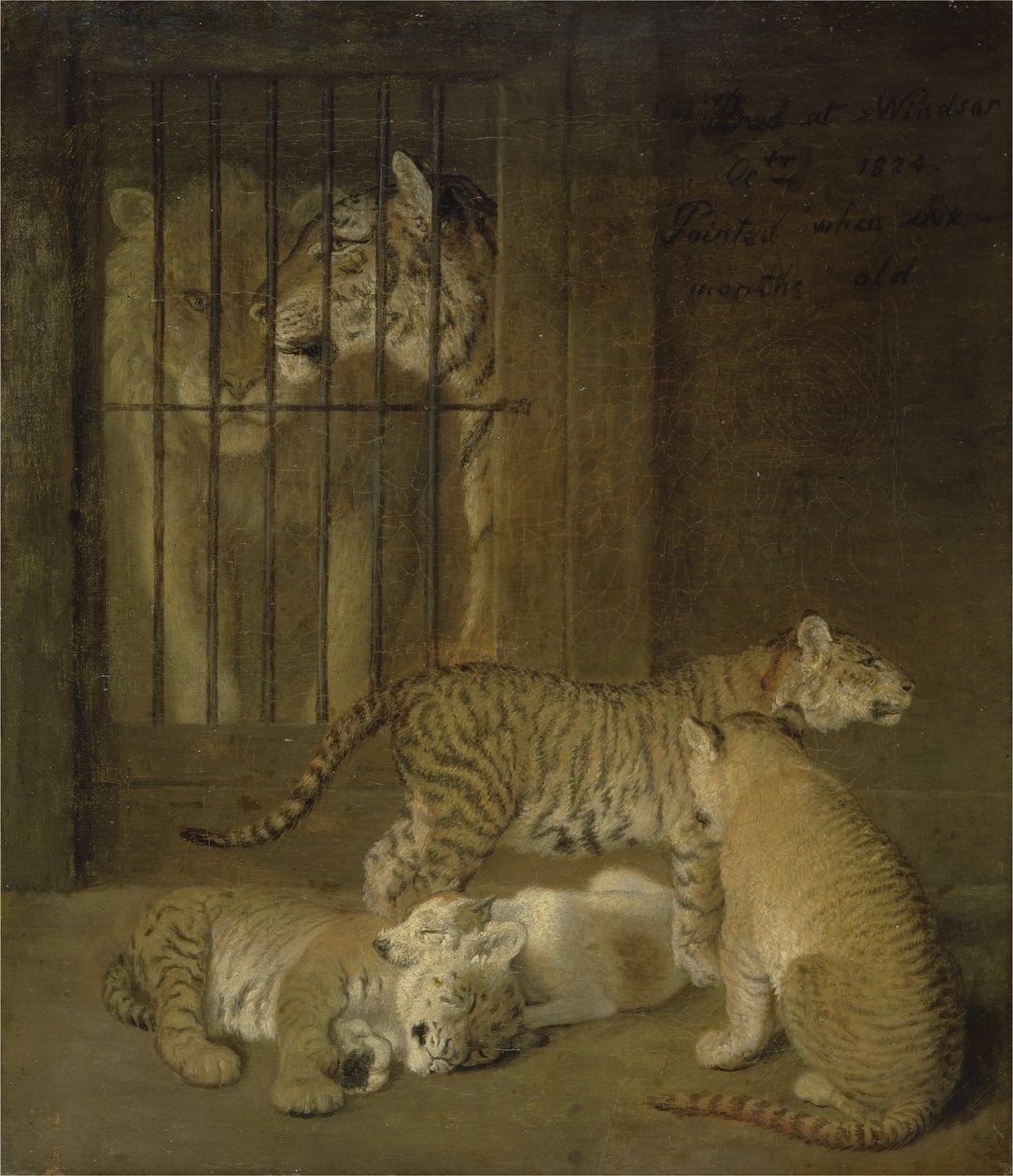 Skupina mláďat chovaných mezi lvem a tygřicí od Jacques Laurent Agasse