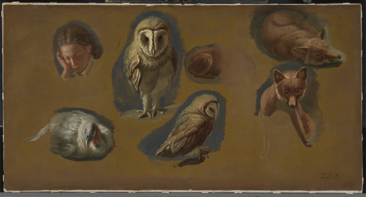 Studie lišky, sovy pálené, páva a hlavy mladého muže od Jacques Laurent Agasse