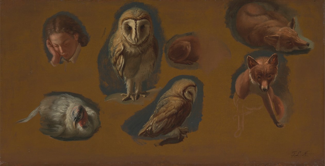 Studie lišky, sovy pálené, páva a hlavy mladého muže od Jacques Laurent Agasse