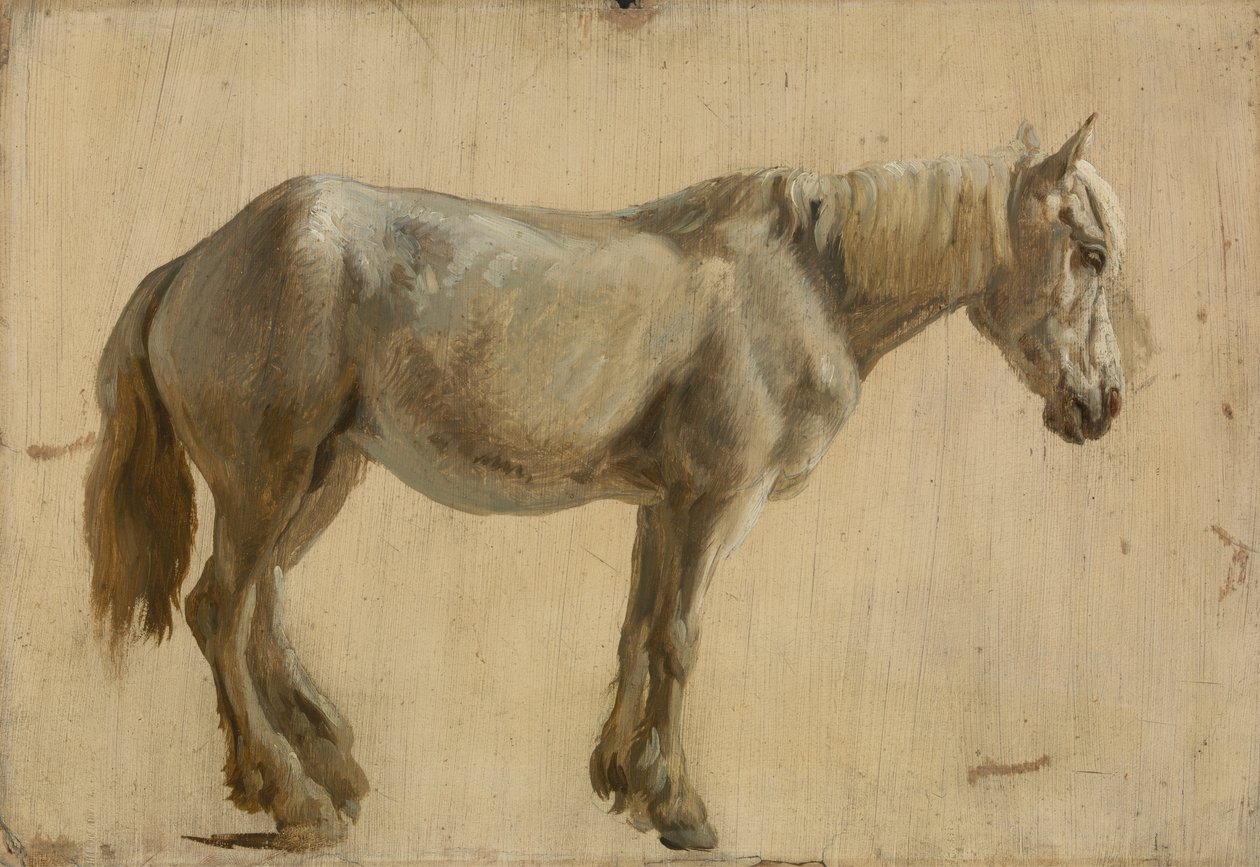 Studie šedého koně (olej na papíře) od Jacques Laurent Agasse