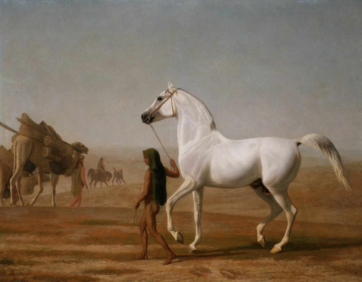 Wellesley Gray Arabian vedl přes poušť od Jacques Laurent Agasse
