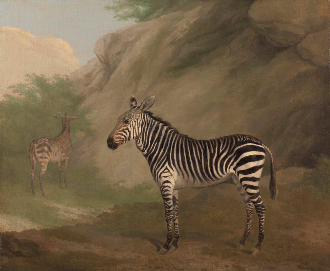 Zebra od Jacques-Laurent Agasse