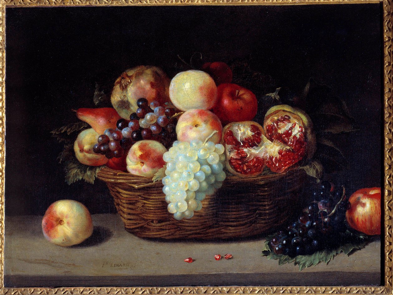 Koš granátů, broskví a hroznů Malba Jacquese Linarda (1600-1645) 17. století Sun. 0,46x0,61 m od Jacques Linard