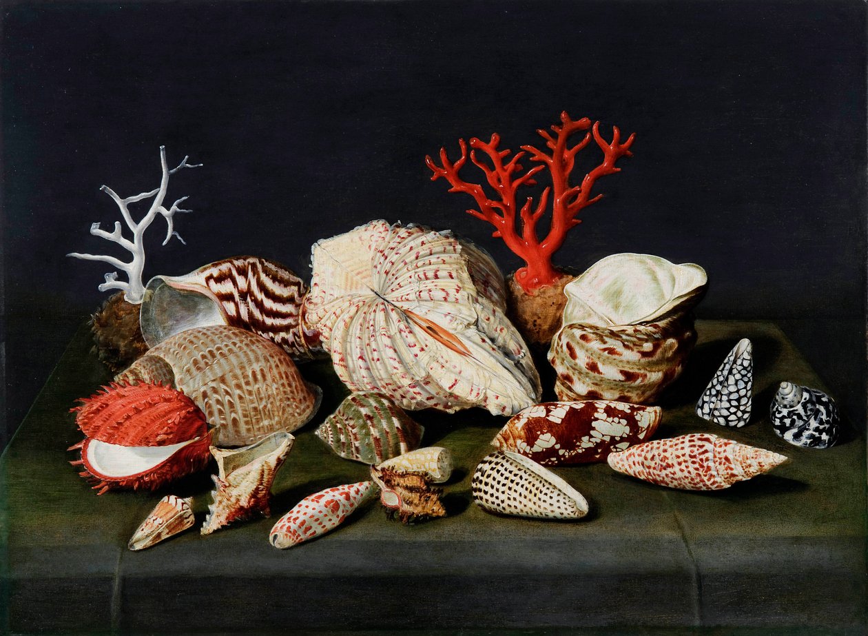 ""Příroda morte aux coquillages et coraux"" (Zátiší s lasturami a korály) Peinture de Jacques Linard (1597-1645), - Olej na dřevě, 47x64 - Fondation Custodia od Jacques Linard
