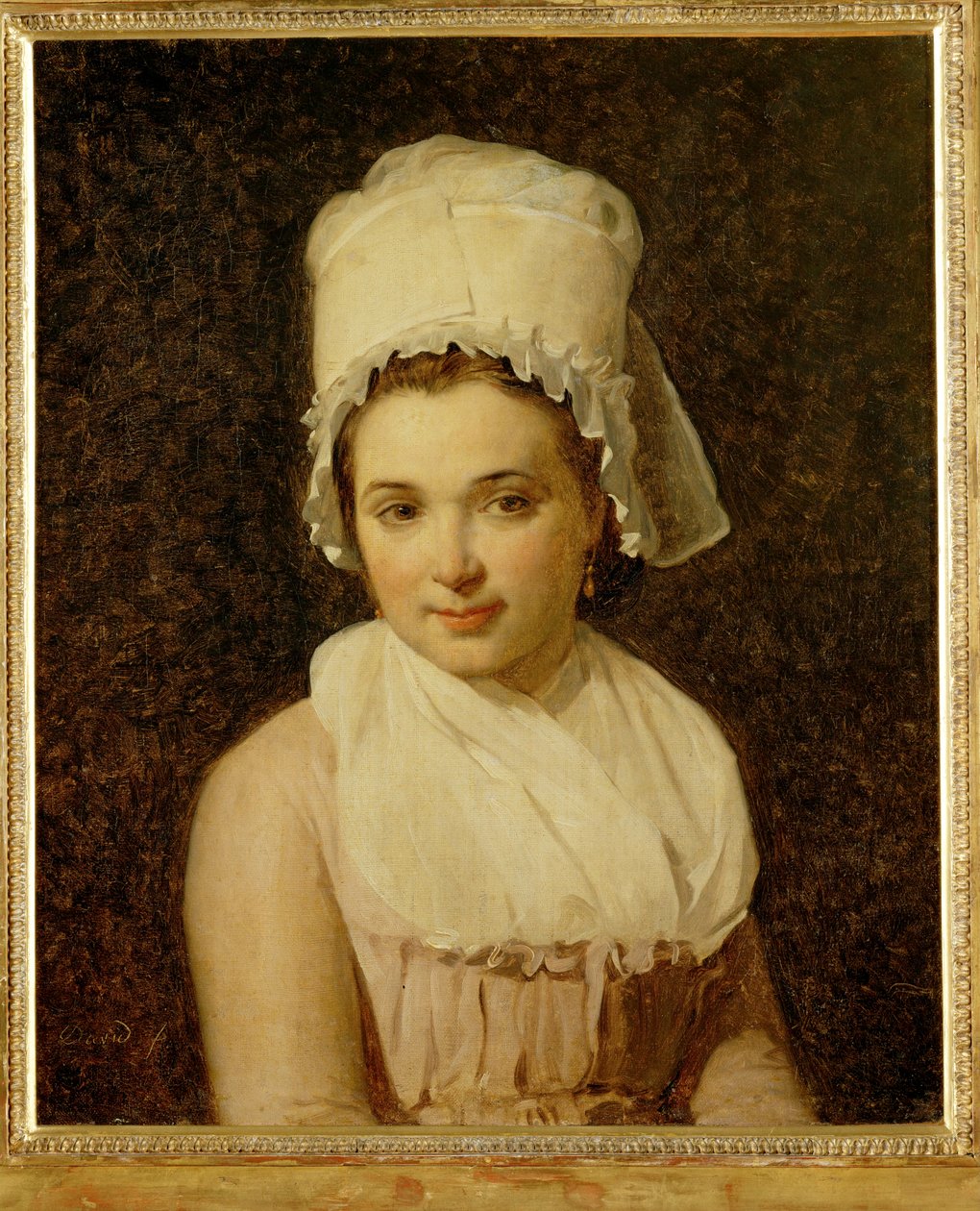 Catherine-Marie-Jeanne Tallardová, manželka Francoise Lamyho, starosty města Sougere/Yonne ... od Jacques Louis David