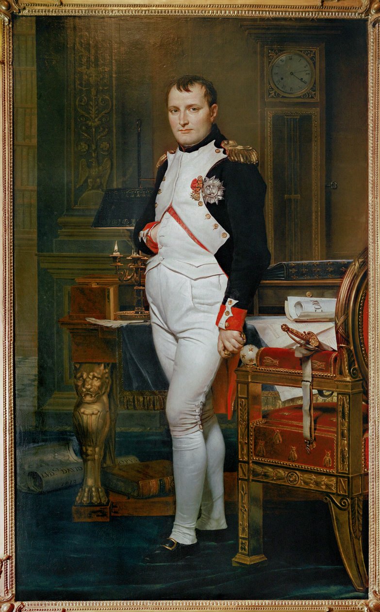 Císař Napoleon I. Bonaparte (olej na plátně) od Jacques Louis David