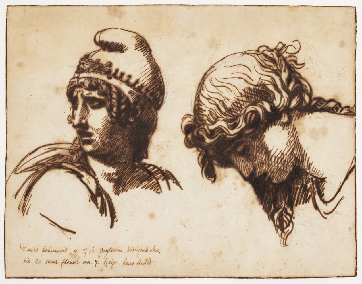 Hlava ženy a domácího mazlíčka od Jacques Louis David