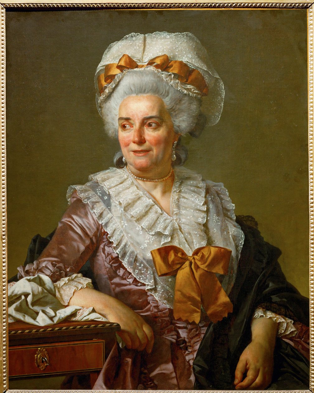 Genevieve Jacqueline Pecoulová, malířova tchyně... od Jacques Louis David