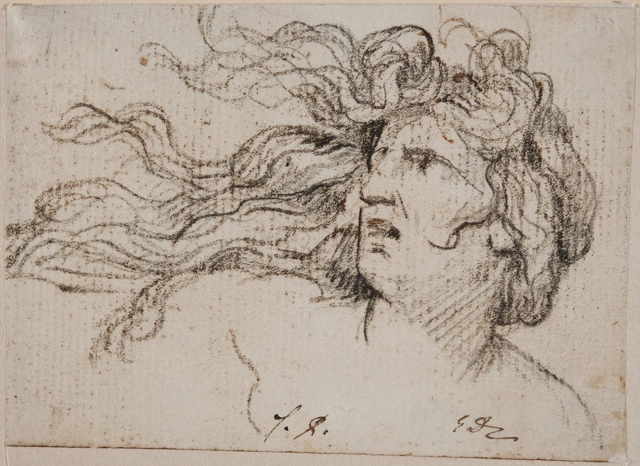 Hlava ženy s vlajícími vlasy od Jacques Louis David
