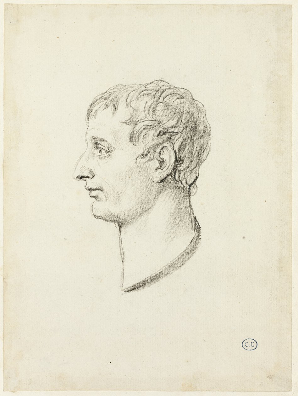 Profil Napoleona od Jacques Louis David