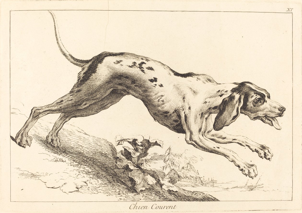 Chien courent (běhající honič) od Jacques Philippe Le Bas and Jean Eric Rehn after Jean Baptiste Oudry
