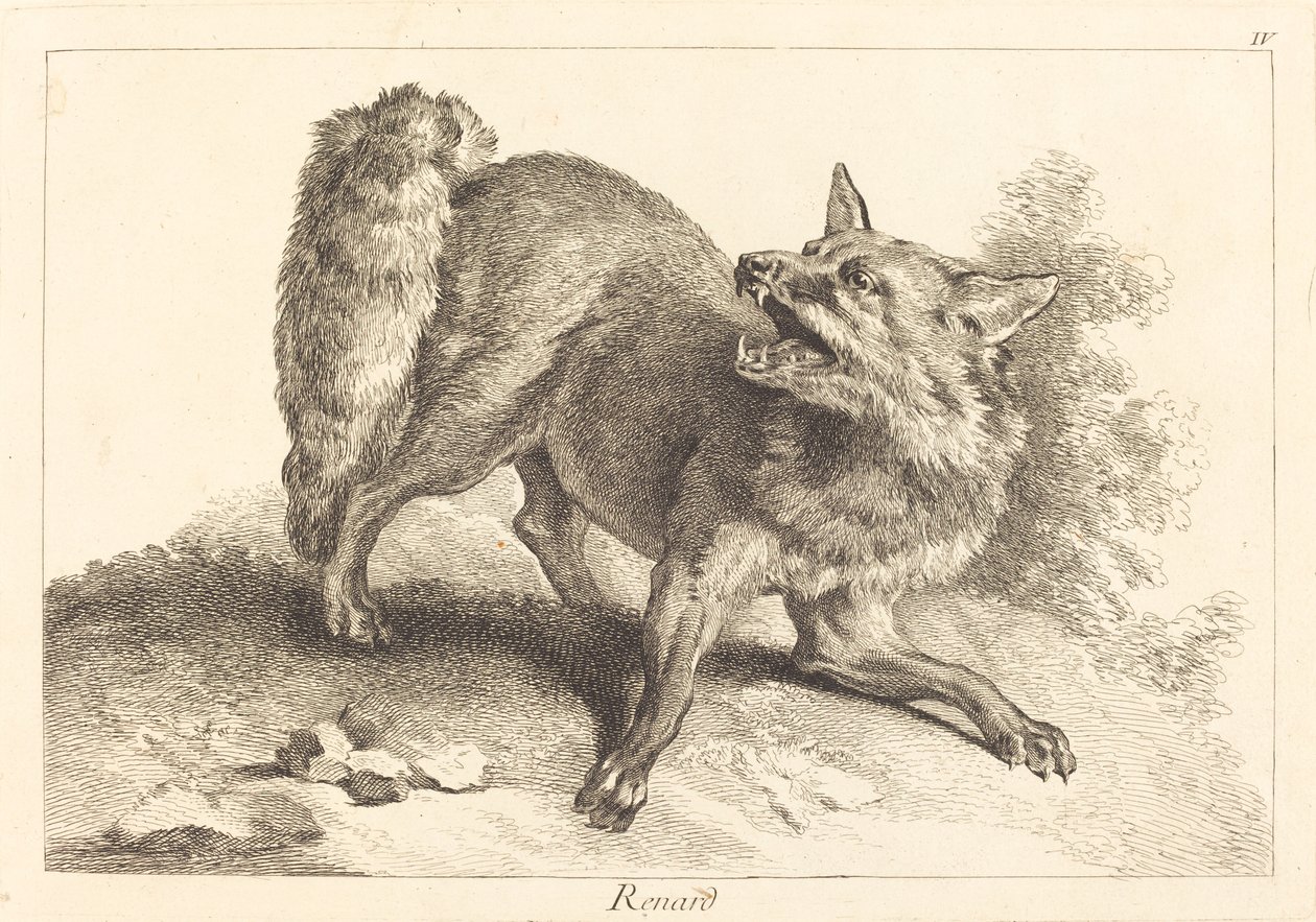 Renard (liška) od Jacques Philippe Le Bas and Jean Eric Rehn after Jean Baptiste Oudry