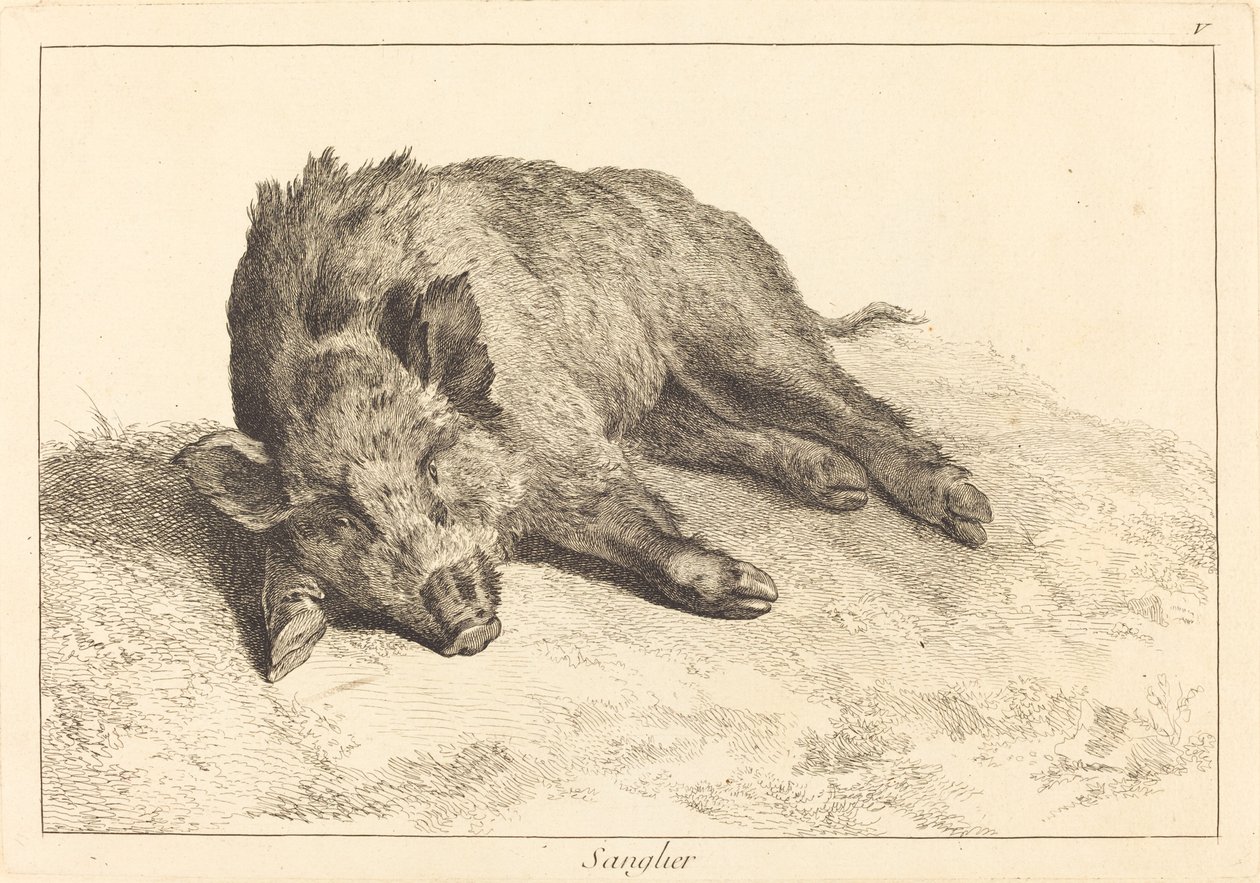 Sanglier (Divočák vleže, zamiřte doleva) od Jacques Philippe Le Bas and Jean Eric Rehn after Jean Baptiste Oudry