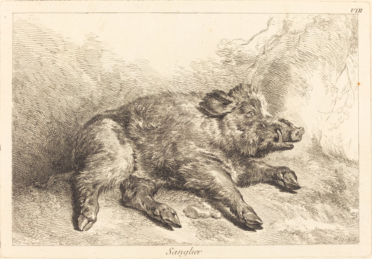 Sanglier (Divočák vleže, hlavou doprava) od Jacques Philippe Le Bas and Jean Eric Rehn after Jean Baptiste Oudry