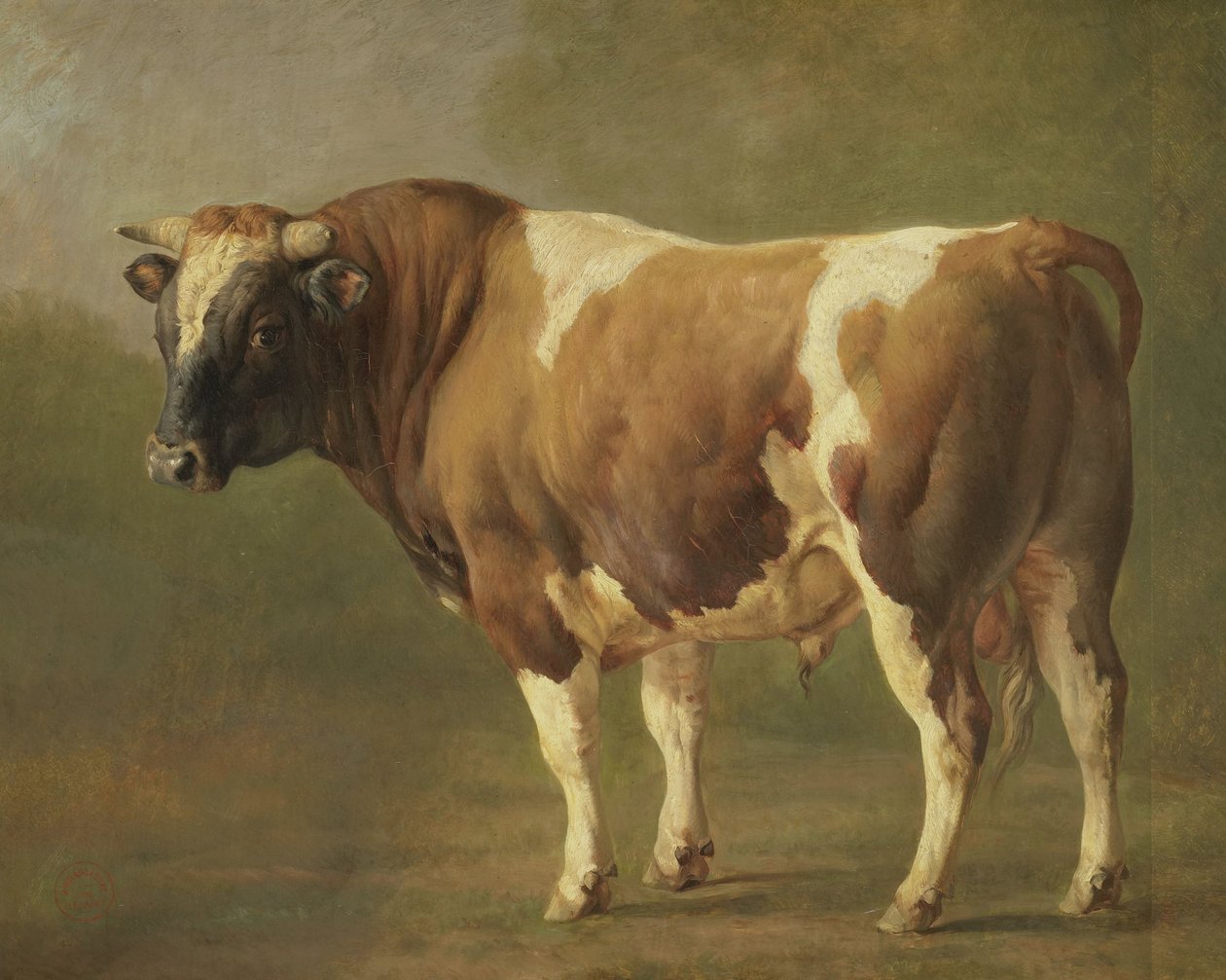 Studie býka od Jacques Raymond Brascassat
