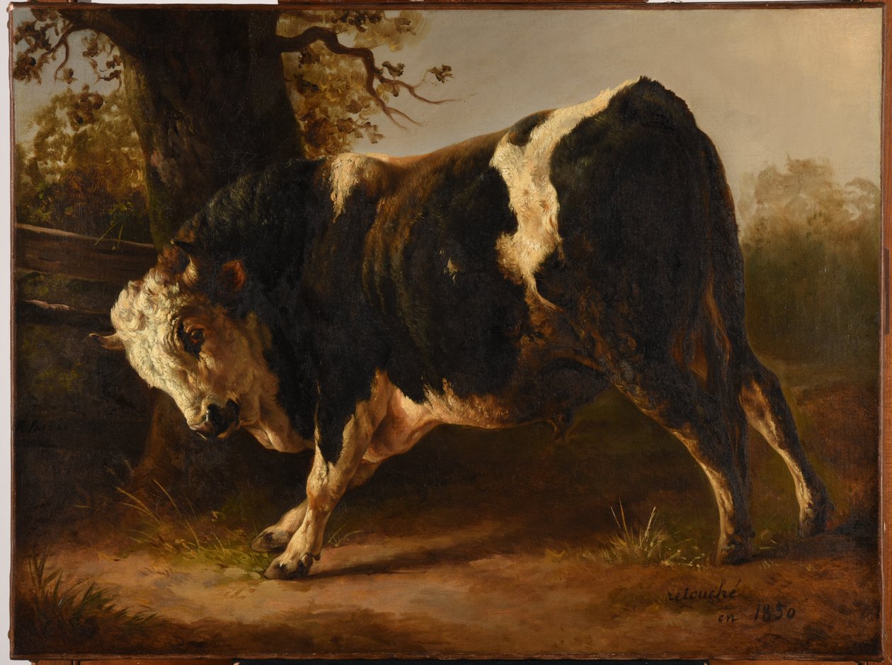 Hněvivý býk od Jacques Raymond Brascassat