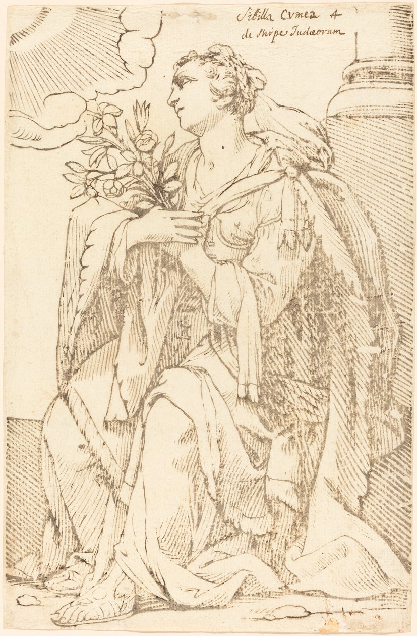 Sibylla Cimmerová od Jacques Stella