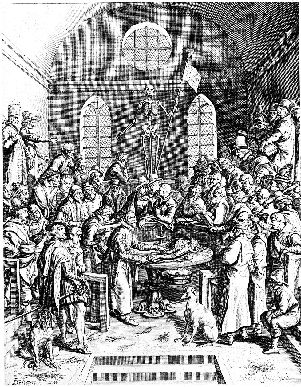 Anatomické divadlo z konce 16. století, Jacques de Gheyn starší, 1633 od Jacques de Gehyn the Elder