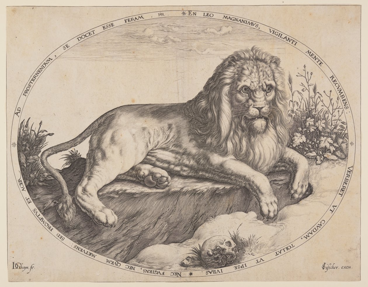 Den Grooten Leeuw (Velký lev). od Jacques de Gheyn II