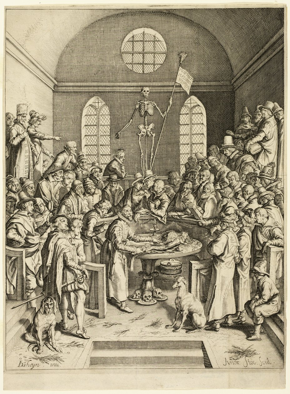Anatomická lekce profesora Pauwa od Jacques de Gheyn II