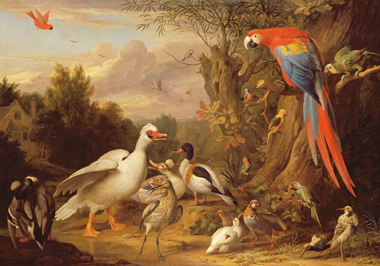 Ara, kachny, papoušci a další ptáci v krajině, cca 1708-10 od Jakob Bogdani or Bogdany