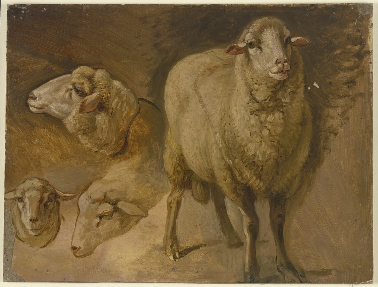 Ovce od Jakob Becker