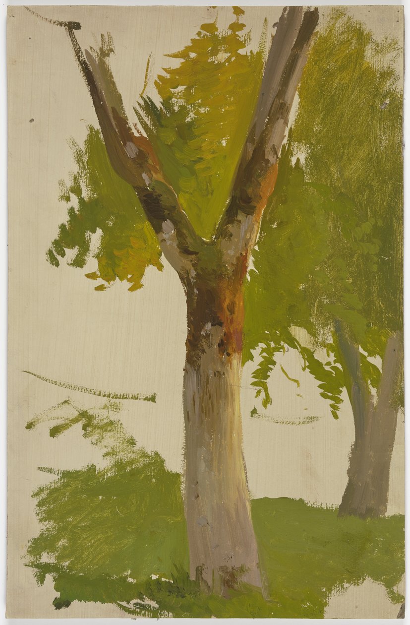 Baum od Jakob Becker