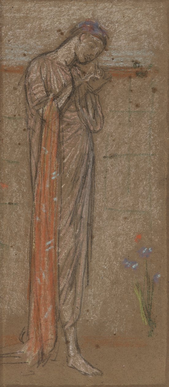 The Purple Iris, 1871-72 (křída a pastel na hnědém papíře) od James Abbott McNeill Whistler