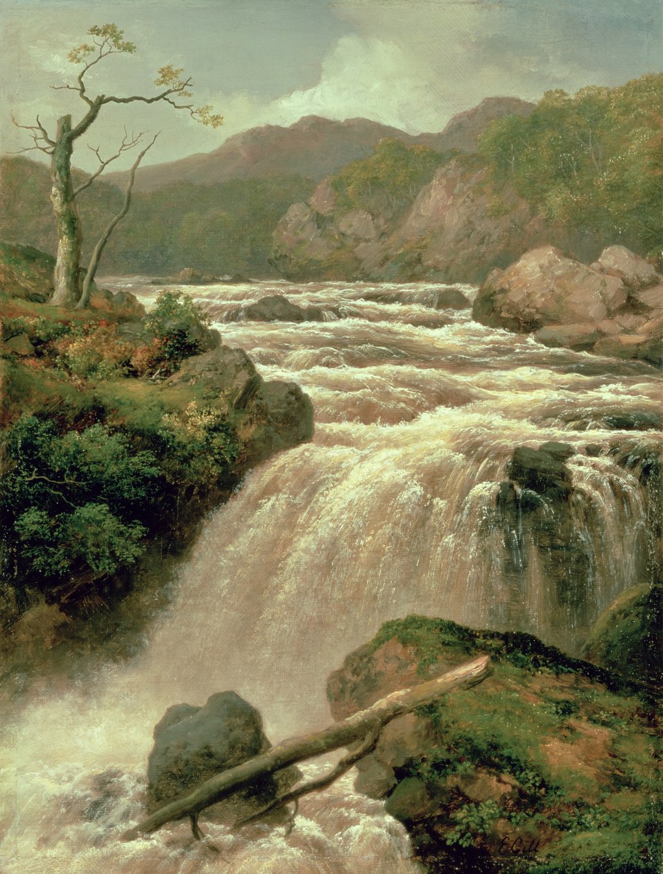 Vodopád na řece Neath, Jižní Wales, 19. století od James Burrell Smith