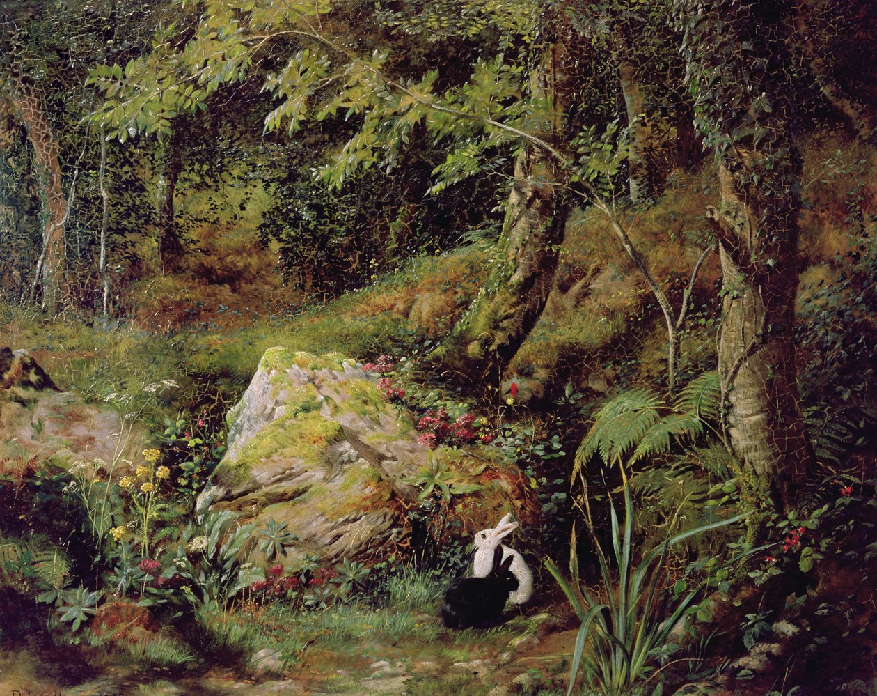 Toulaví králíci od James Collinson