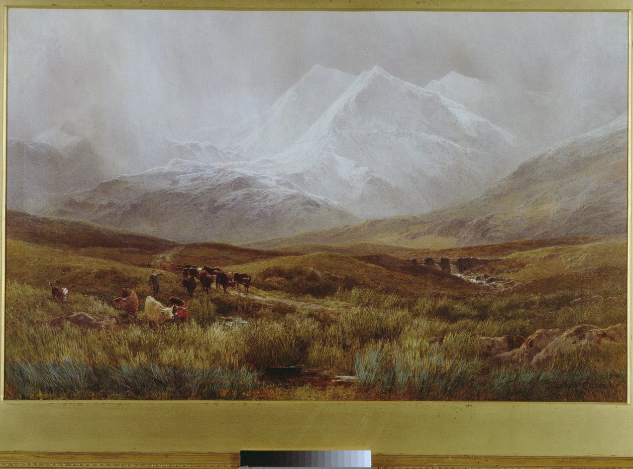 Sněhová bouře nad Snowdonem, 1879 od James Jackson Curnock