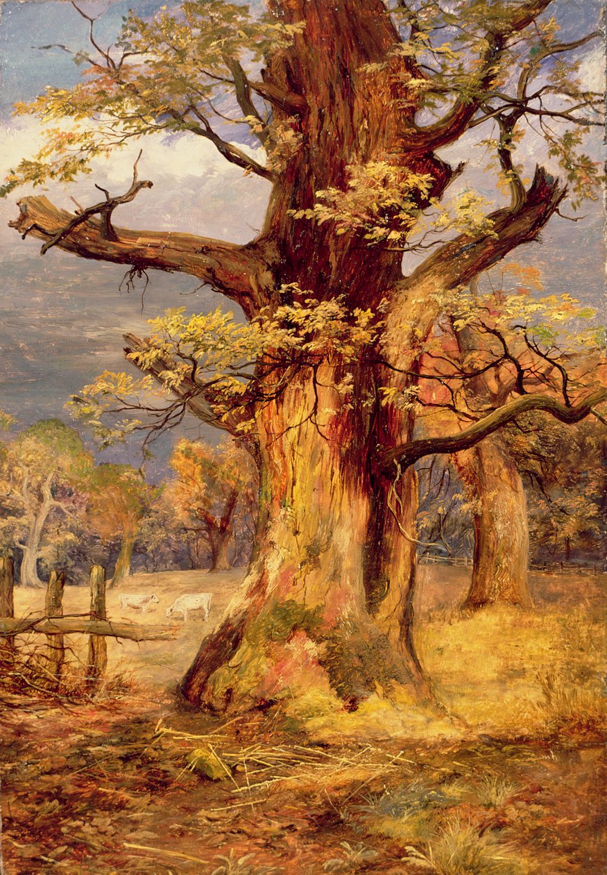 Blasted Oak, Galloway od James Jnr Faed