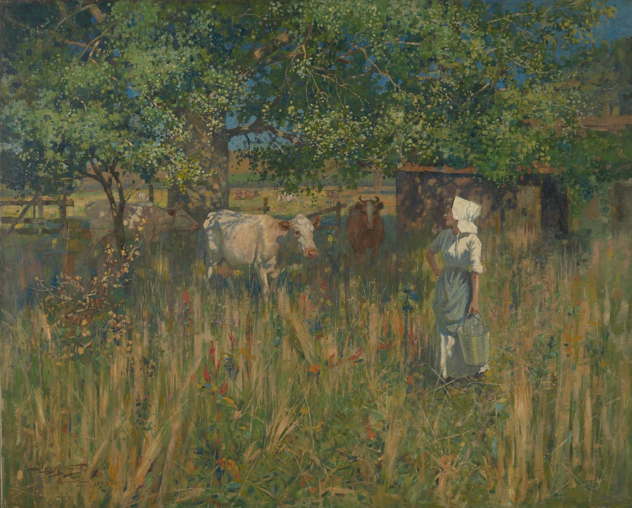 Tess od James McLachlan Nairn