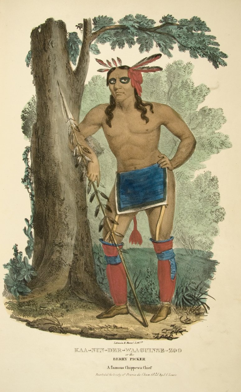 Kaa-nun-der-waaguinse-zoo nebo Berry Picker od James Otto Lewis