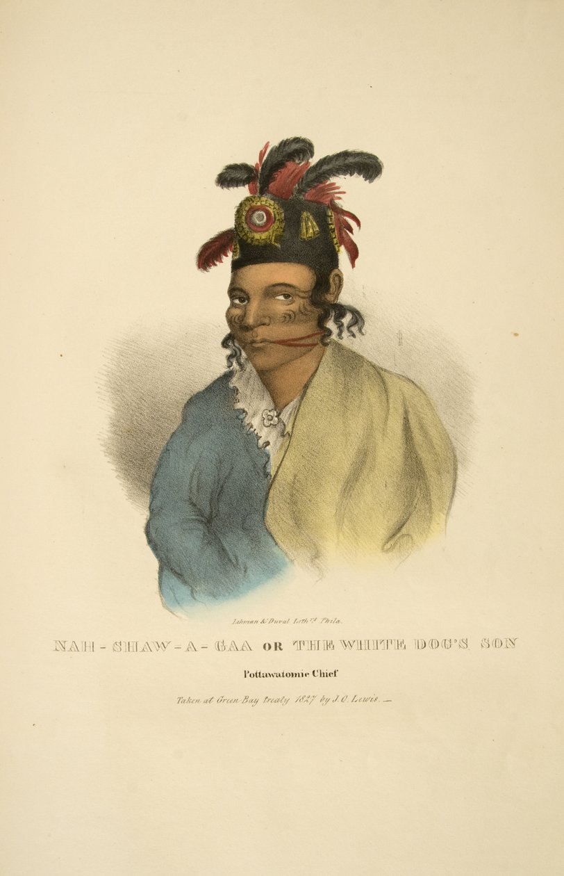 Nah-shaw-a-gaa nebo Syn bílých psů od James Otto Lewis