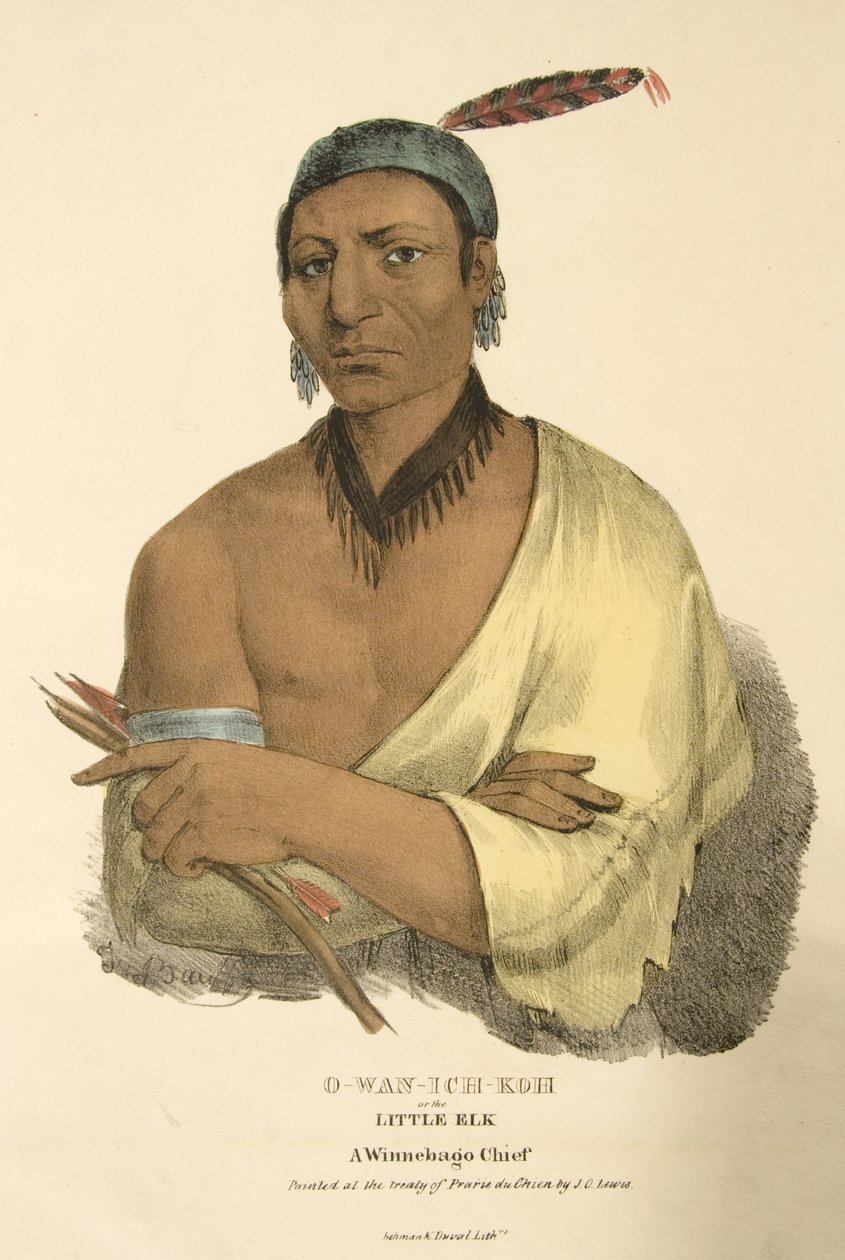 O-wan-ich-koh nebo Malý los od James Otto Lewis
