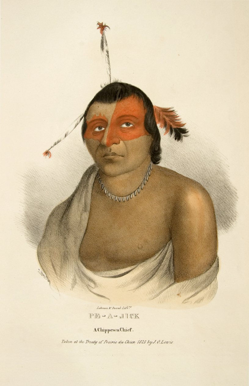 Pe-a-jick od James Otto Lewis
