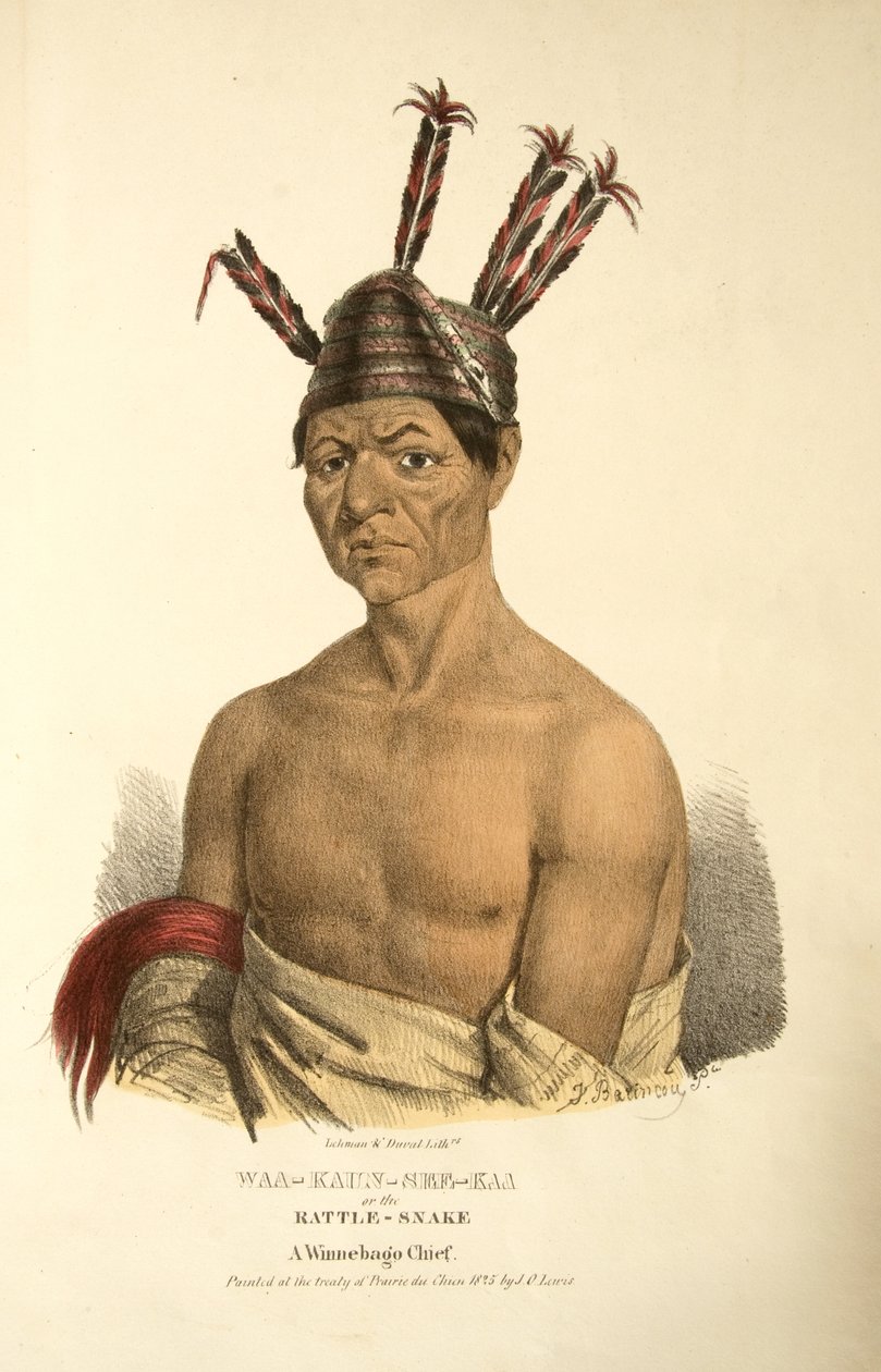 Waa-kaun-see-ka nebo Chřestýš od James Otto Lewis