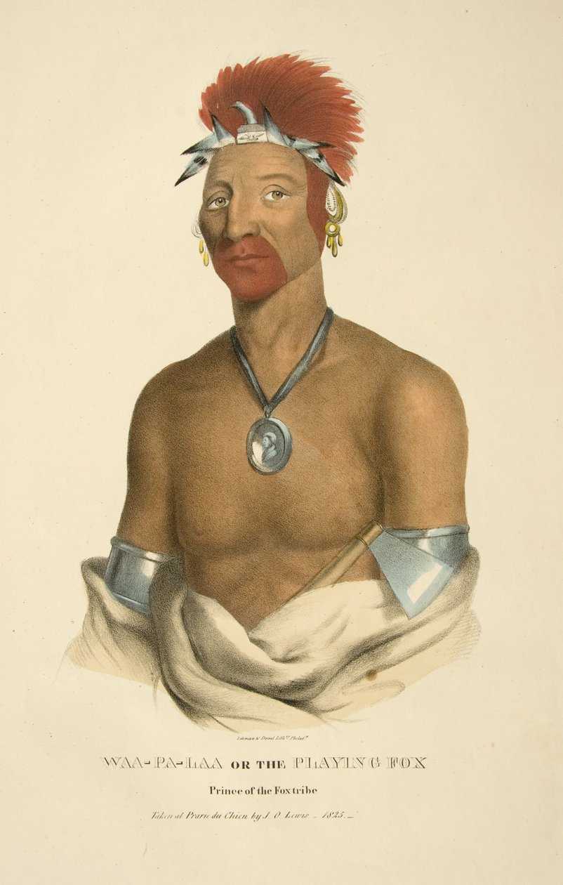 Waa-pa-laa nebo Hrající si liška od James Otto Lewis