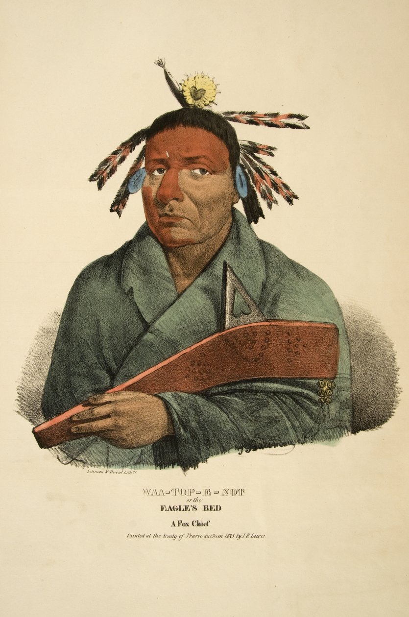 Waa-top-e-not nebo Eagles Bed od James Otto Lewis