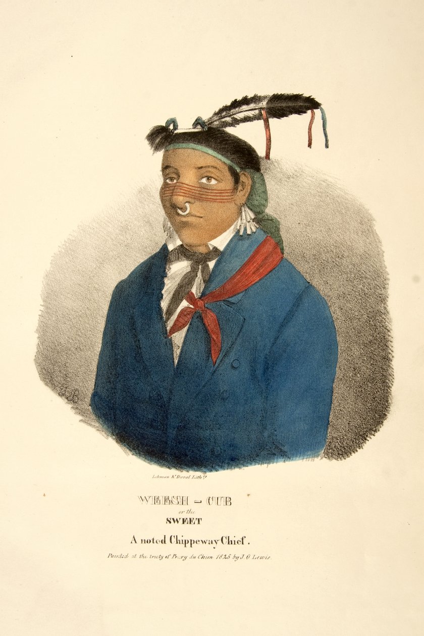 Weesh-mládě nebo Sweet od James Otto Lewis