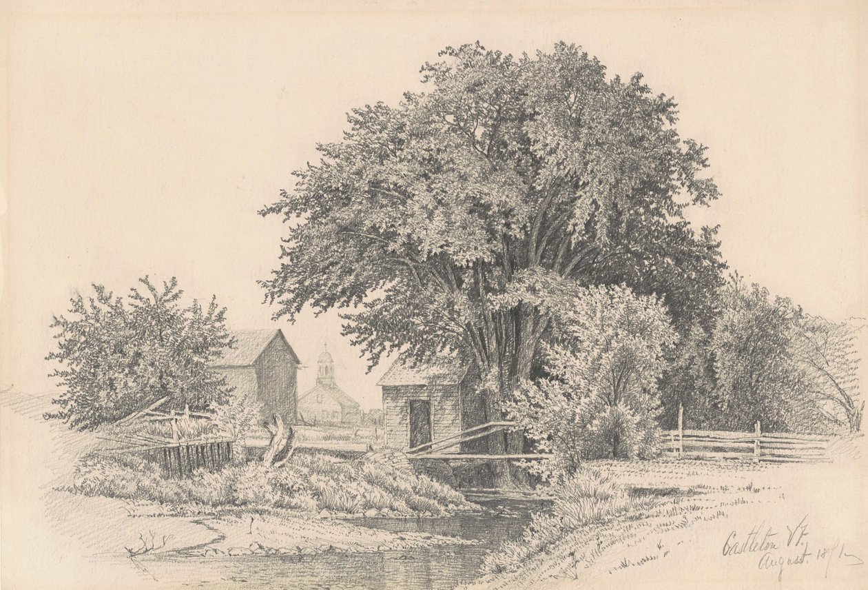 Castleton, Vermont, 1871 (grafit na tkaném papíře) od James Renwick Brevoort